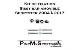 Kit d'installation Sissy bar Harley Davidson 