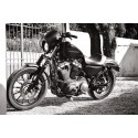 Saute vent noir brillant Harley Davidson DYNA Sportster 2004 à 2017