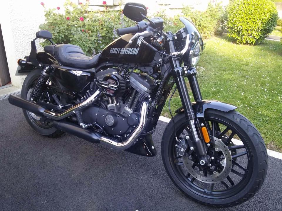 Sissy bar detachable Sportster 1200 cx Roadster