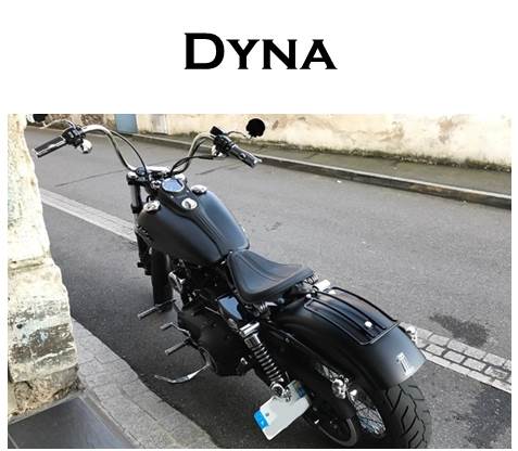 Dyna.jpg