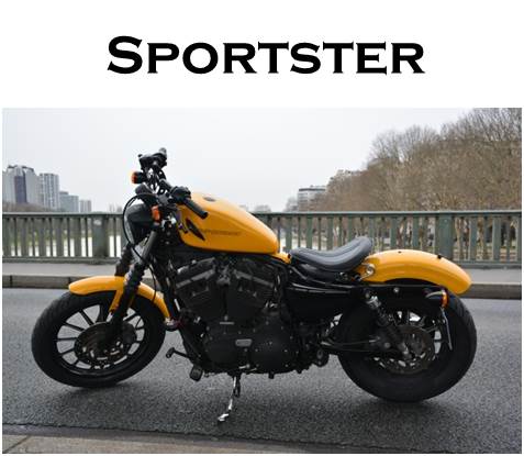 Sportster.jpg