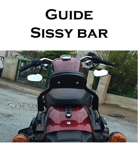 guide%20sissy%20bar.jpg