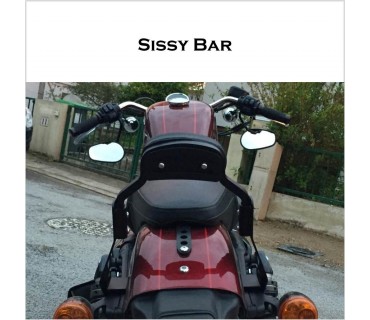 Sissy bar